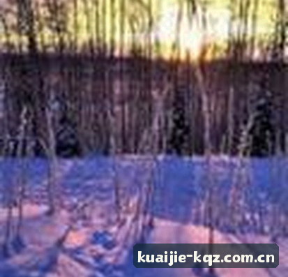 陈雪